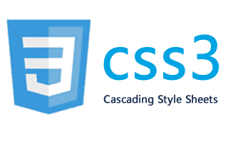 css3