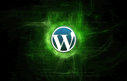 wordpress1