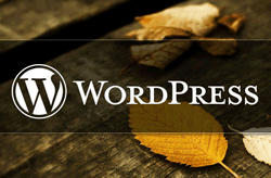 wordpressbiaoqian
